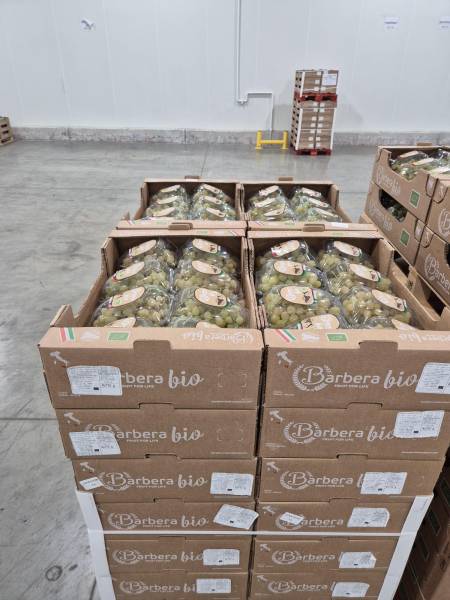 Nouveau à Châteaurenard - «IST DALIA AGENCE DOUANES SERVICES - Votre hub douane & logistique BIO »